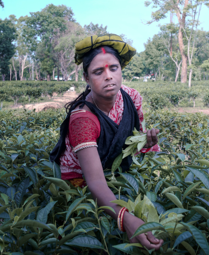 Bangladesh: Munni is a tea garden worker and earns just 170 Taka [AU$2.30] per day. She has to take out loans in order to buy groceries and then struggles to pay these loans back. Munni attended training run by Oxfam partner organisation, Breaking the Silence, and says she has gained courage through this training. Photo: Fabeha Monir/Oxfam