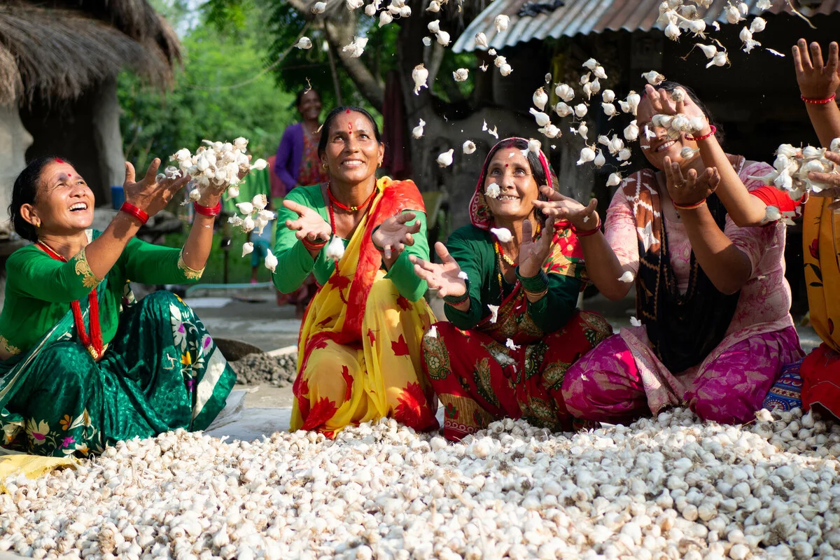 Gaudi, Beldandi municipality, Nepal. Members of a women’s group celebrate the success of their garlic project. Oxfam and partner NEEDS provided technical assistance for the project, and supported the women’s group with trainings. The women have led efforts to reduce disaster risks and bring essential services to their community. ©Elizabeth Stevens/Oxfam