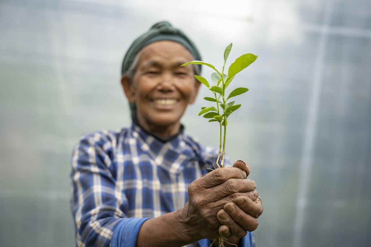 Nepal: Yangjee Sherpa (63) is a gardener at Multiple Nursery of Jaiwik Bibidhata Cooperative in Jorayal Rural Municipality of Doti district, Nepal. Photo: Kishor Sharma / Oxfam