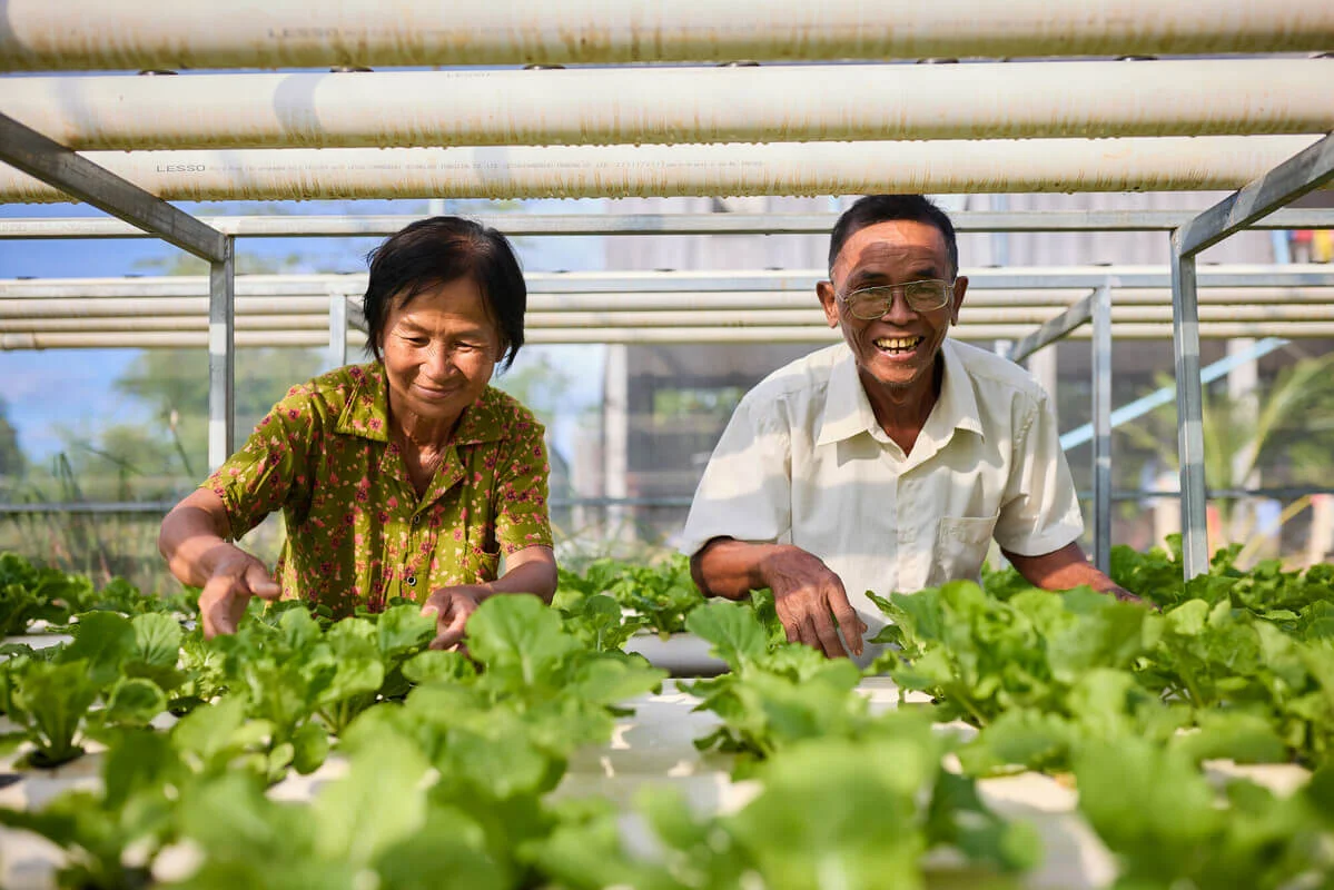 Cambodia: Bun and Vantha (both 60s) are part of an Aquaponics pilot project in their village. The pilot gives local villagers the opportunity to grow vegetables in a climate resilient way that can then be used to support their household expenses. Oxfam acknowledges the support of the Australian Government through the Australian NGO Cooperation Program (ANCP). Photo: Patrick Moran/Oxfam