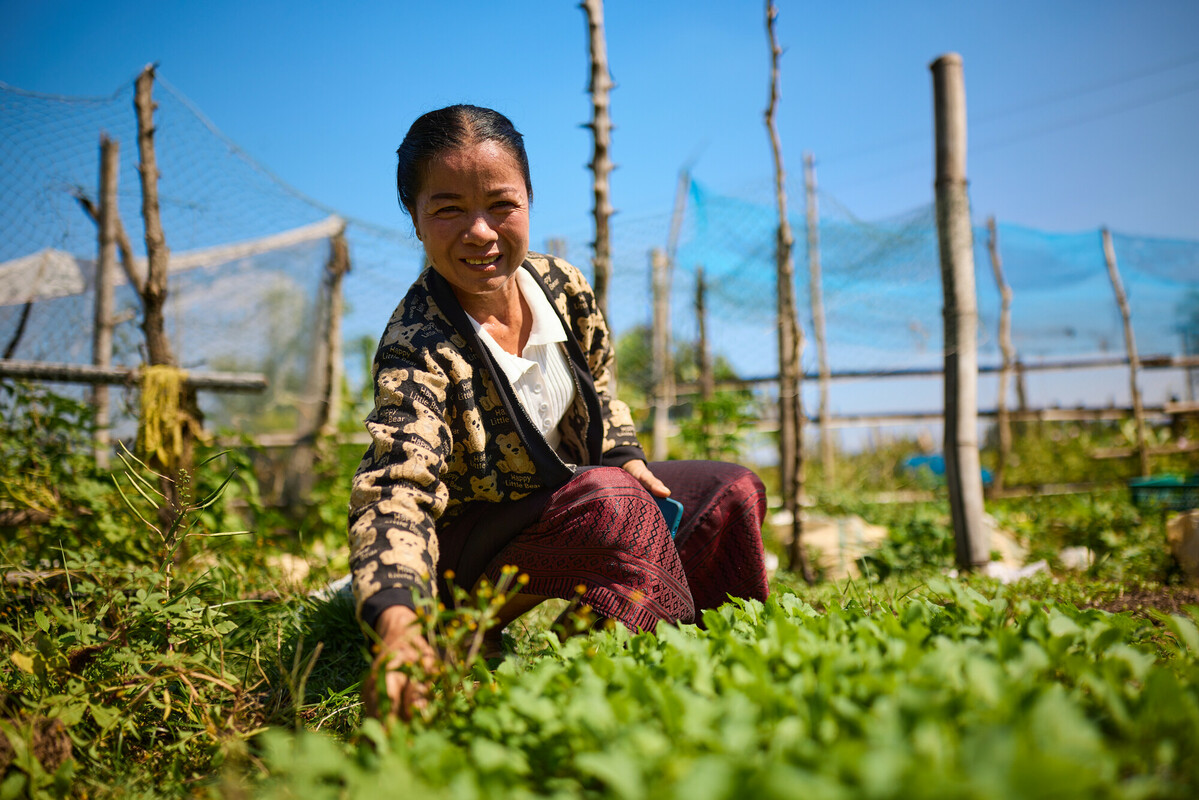 Sanasomboun, Lao People's Democratic Republic: Singnakhone in her garden, where she grows vegetables for the household. Patrick Moran/Oxfam