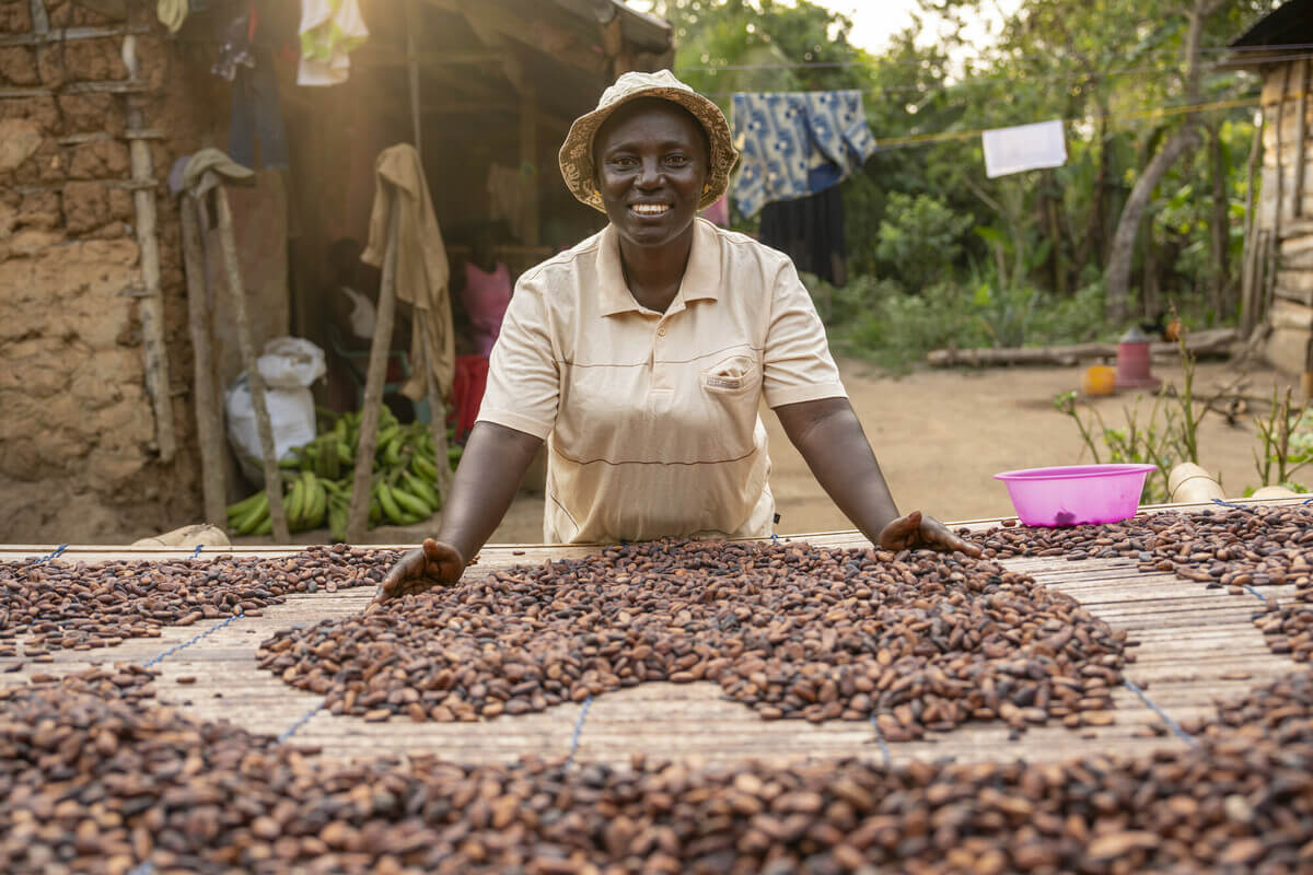 Ghana: Leticia is drying her beans on traditional drying tables at her farm. Photo: Nana Kofi Acquah/Oxfam