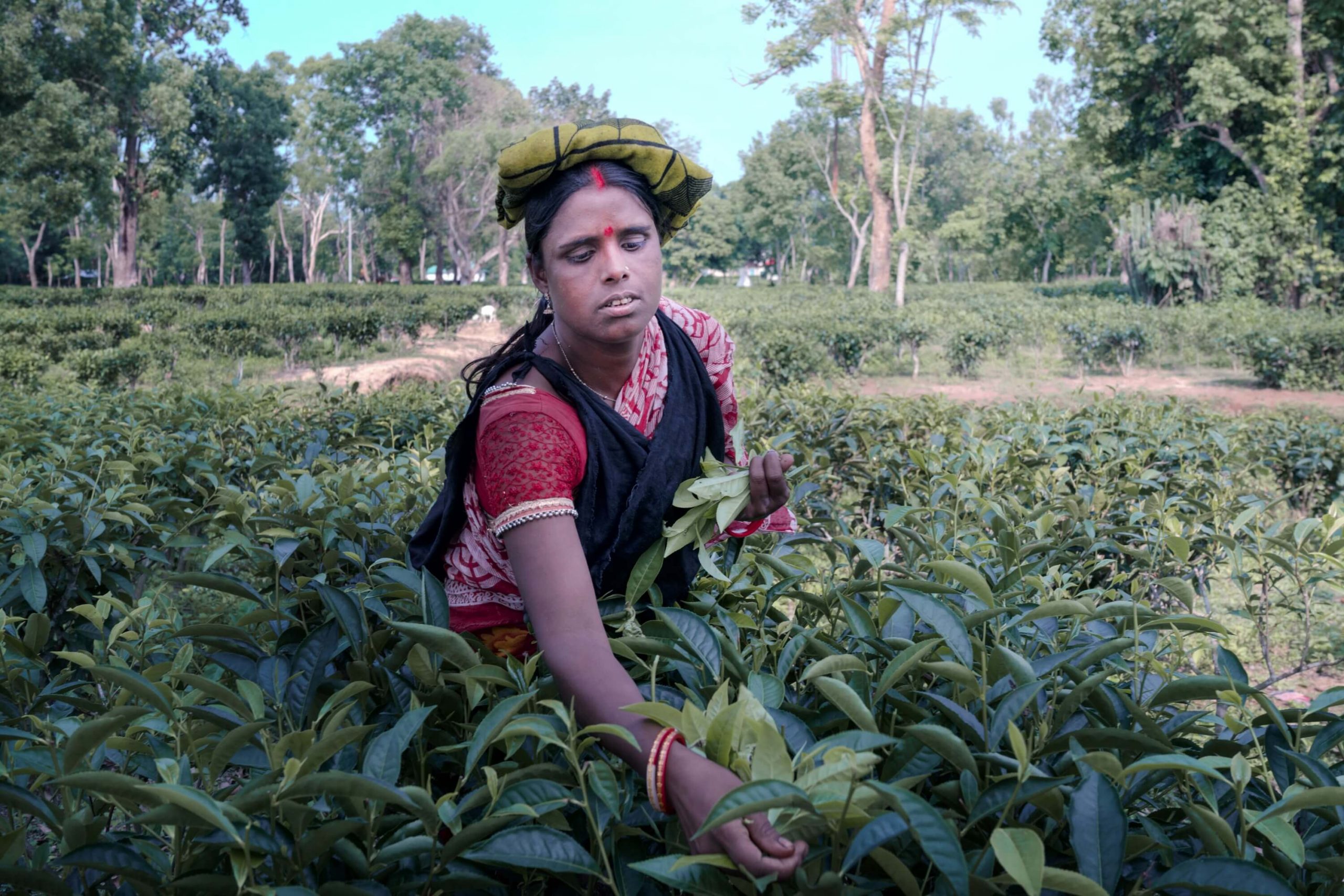 Bangladesh: Munni is a tea garden worker and earns just 170 Taka [AU$2.30] per day. She has to take out loans in order to buy groceries and then struggles to pay these loans back. Munni attended training run by Oxfam partner organisation, Breaking the Silence, and says she has gained courage through this training. Photo: Fabeha Monir/Oxfam