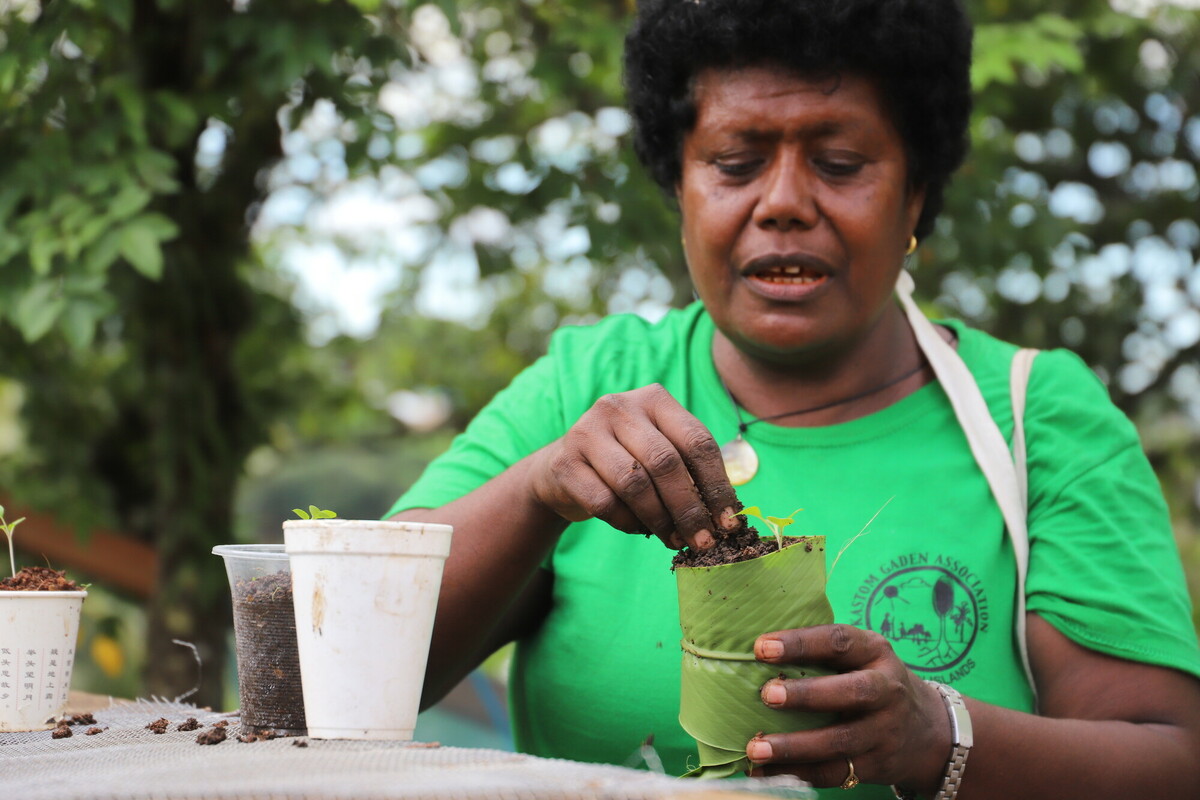 Ohuiola, Honiara, Solomon Islands: Kastom Garden's Esther Lodu during a check up on agricultural and livelihood trainings conducted by Oxfam partners Live & Learn and Kastom Garden Association (KGA) outside Honiara as part of Oxfam's Australian Humanitarian Program (AHP) response to COVID-19. Photo: Ernest Ta'asi/Oxfam