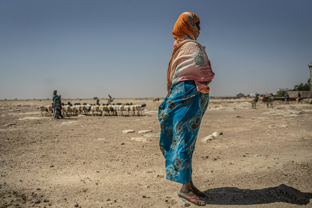 Somalia: A group of shepherds and their livestock arrive at the community of Sincaro, Sanag region, where Oxfam has built a water supply system for people and animals. Photo: Pablo Tosco/Oxfam