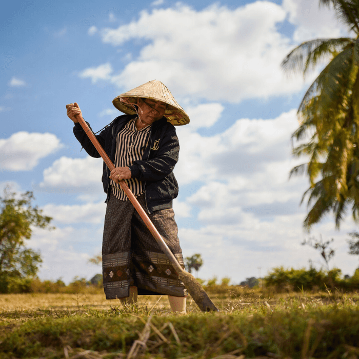 Lao People's Democratic Republic: Sone was a former middle person buying fish from fisher people in her village and selling to external buyers. Since the dam construction, she has turned to duck raising with the help of Oxfam local partner, CLICK. Oxfam acknowledges the support of the Australian Government through the Department of Foreign Affairs and Trade (DFAT). Photo: Patrick Moran/Oxfam